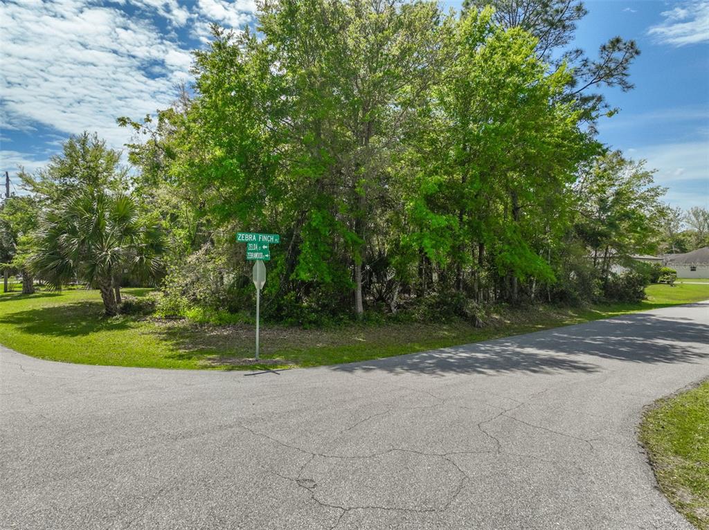 A street corner with a road sign and dense trees on a vacant lot — 2 ZELDA COURT, PALM COAST, FL