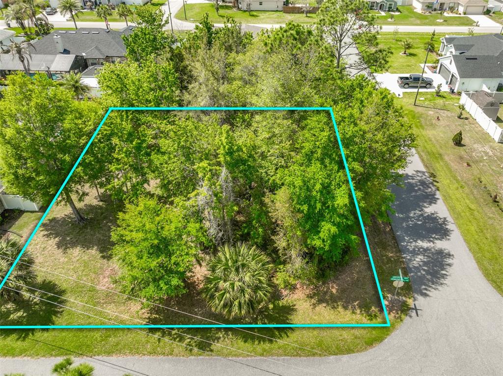 An aerial view shows a wooded, rectangular vacant lot outlined in blue near a road — 2 ZELDA COURT, PALM COAST, FL
