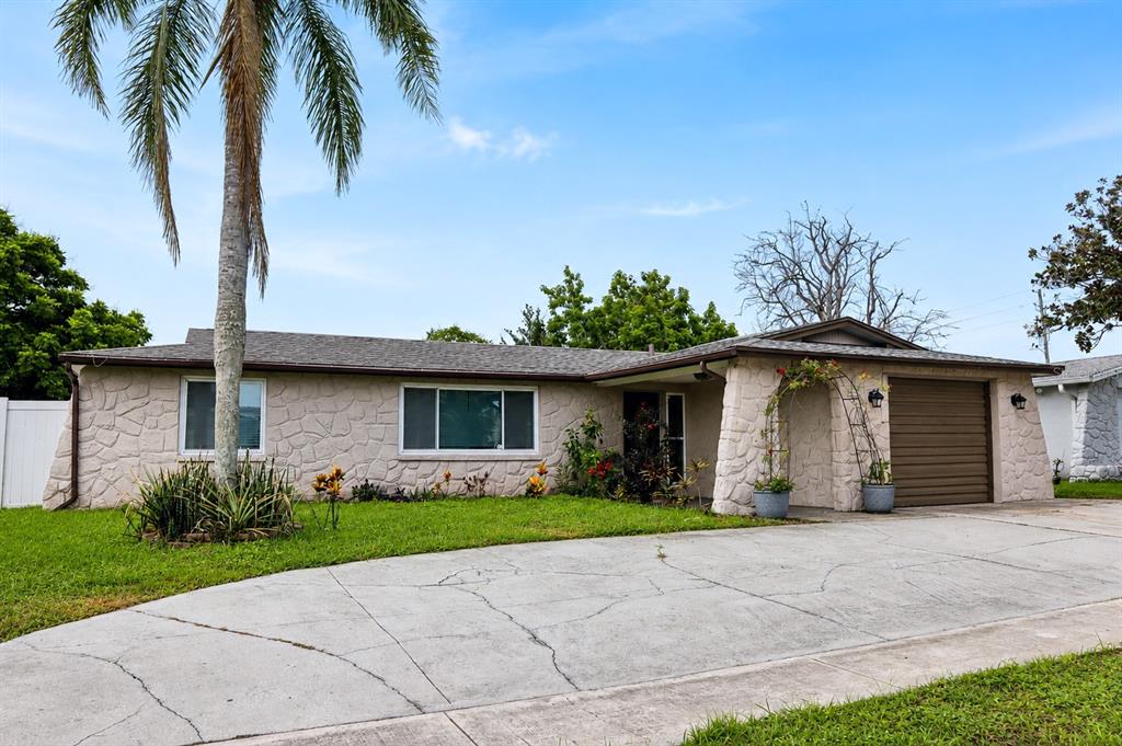 A single-story house with stone veneer siding, a palm tree, and a concrete driveway — 6012 12TH AVENUE, NEW PORT RICHEY, FL