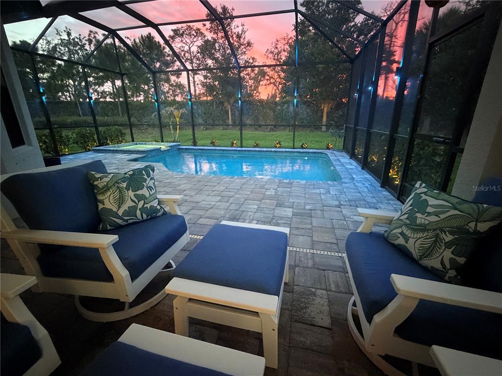 A swimming pool and spa are enclosed within a screened lanai illuminated by blue lighting — 14659 DERNA TERRACE, BRADENTON, FL