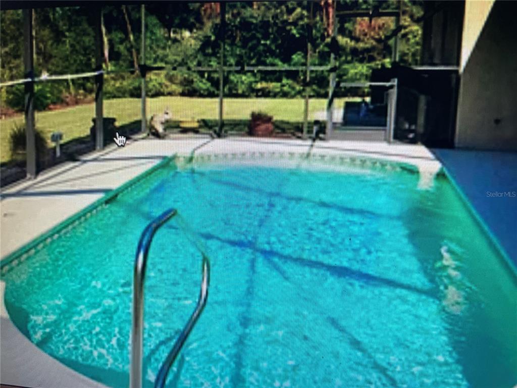 A rectangular swimming pool sits inside a screened-in patio area with a view of grass — 7061 OVENBIRD ROAD, WEEKI WACHEE, FL