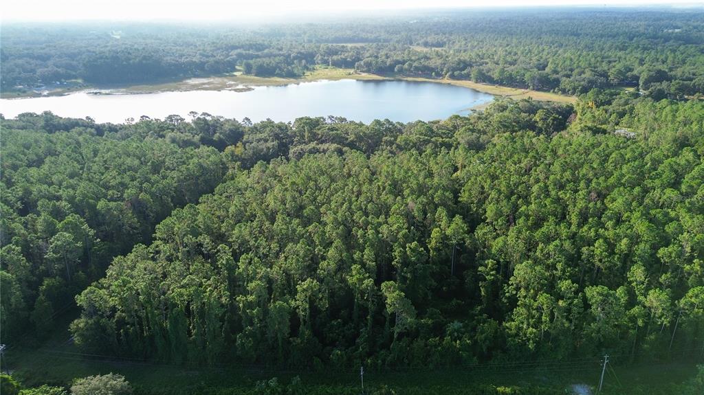 An aerial view shows a dense forest bordering a large lake under a bright sky — TBD SE 170TH AVENUE, OCKLAWAHA, FL