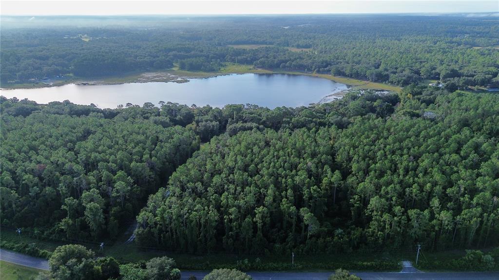 An aerial view shows a dense forest bordering a large lake under a clear sky — TBD SE 170TH AVENUE, OCKLAWAHA, FL