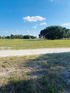 A wide, grassy vacant lot features a dirt road and a large tree under blue skies — 7621 17th Place, FL 33935, FL