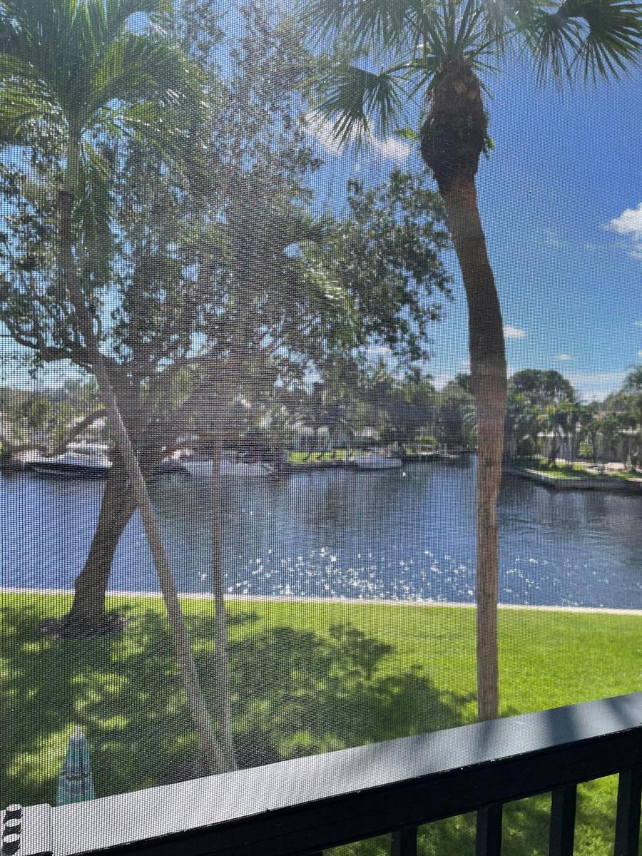 A view of a canal and palm trees seen through a screened-in porch window — 14 Royal Palm Way # 204, Boca Raton FL 33432, BOCA RATON, FL