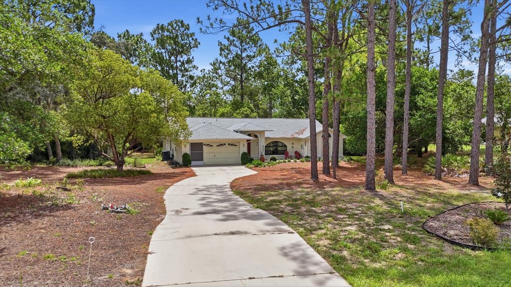 A single-story house with a concrete driveway sits among tall pine trees — 5815 N DURANGO TERRACE, BEVERLY HILLS, FL
