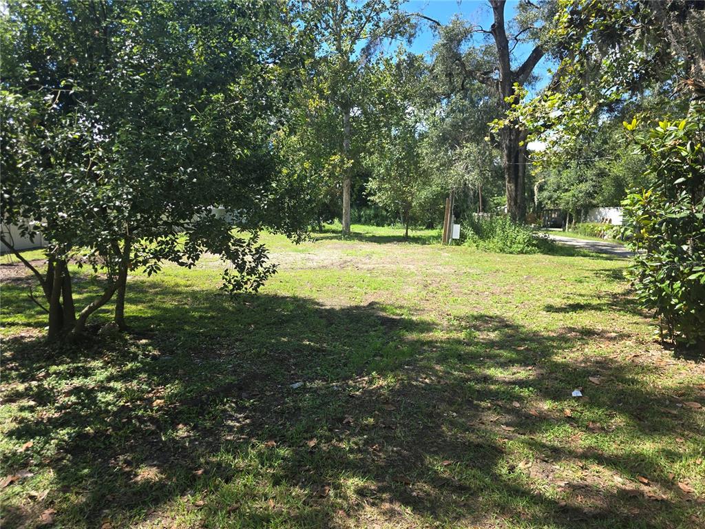 A grassy, partially shaded vacant lot with mature trees and surrounding vegetation — 1403 GORDON ROAD, PLANT CITY, FL