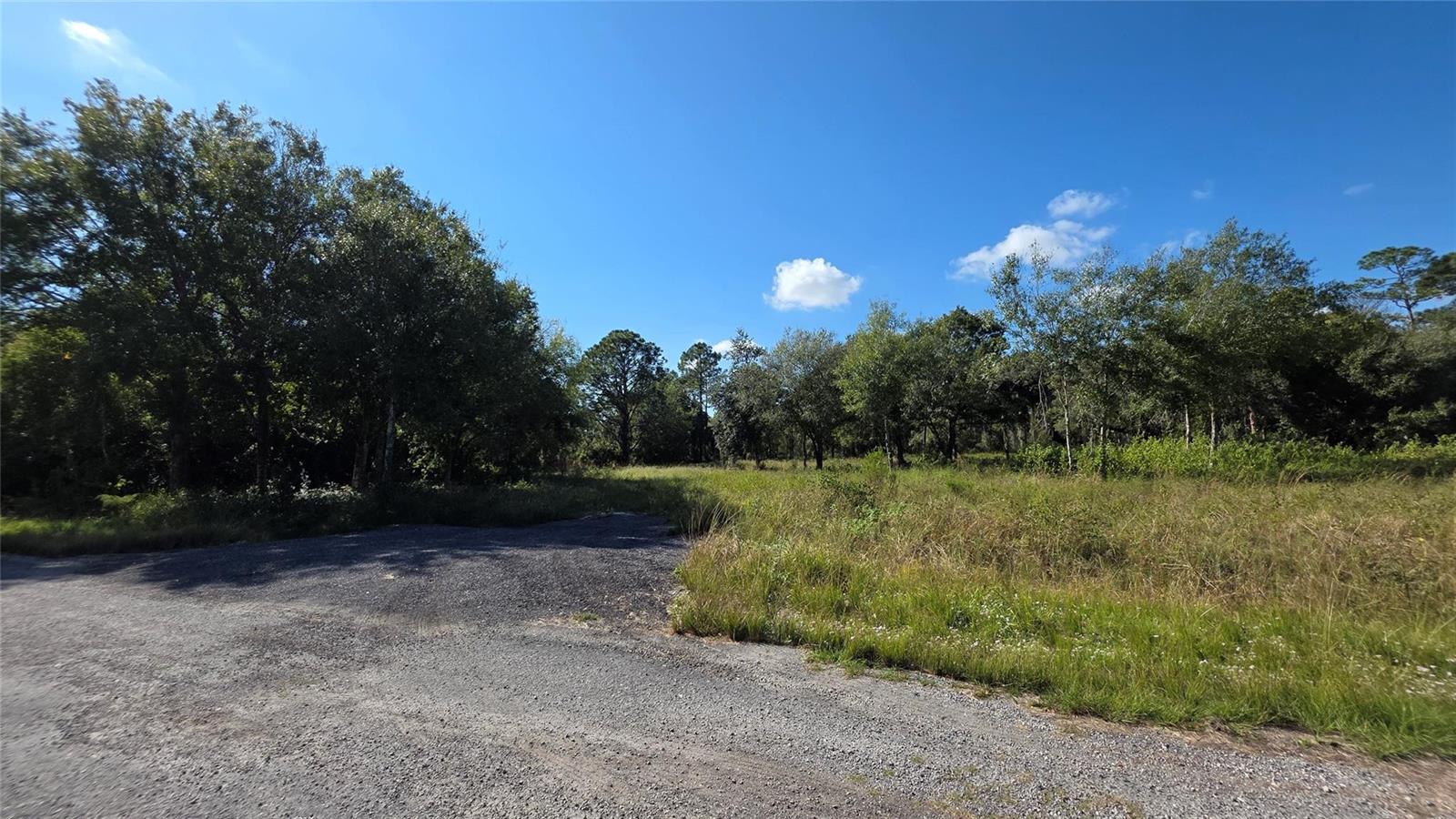 A gravel driveway leads to a grassy, undeveloped lot surrounded by trees under a blue sky — 340 N Jinete Street, Clewiston FL 33440, CLEWISTON, FL