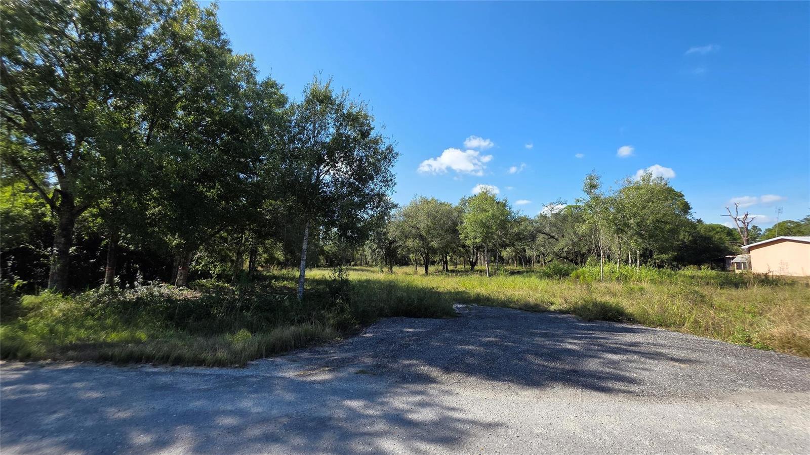 A gravel driveway leads to a grassy, tree-lined vacant lot under a clear blue sky — 340 N Jinete Street, Clewiston FL 33440, CLEWISTON, FL