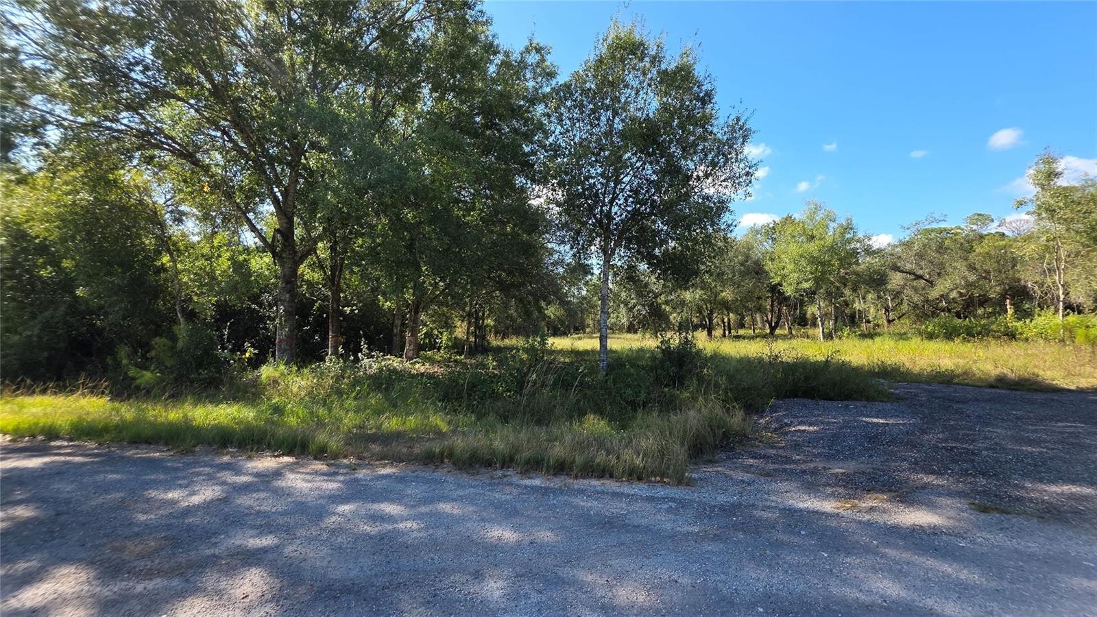 A gravel driveway leads to a grassy, wooded lot under a clear blue sky — 340 N Jinete Street, Clewiston FL 33440, CLEWISTON, FL