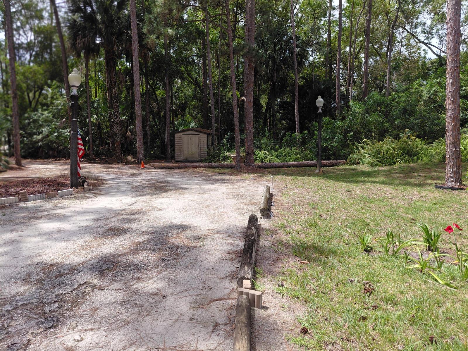 A gravel driveway leads toward a small shed nestled among trees in a wooded yard — 11615 Sunset Boulevard, FL 33411, FL