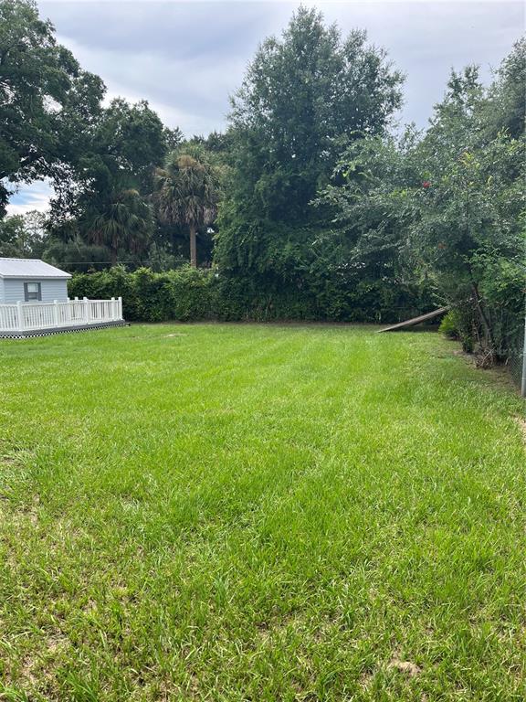 A grassy backyard features a white shed with a deck and dense surrounding trees — 2392 SE 175TH TERRACE ROAD, SILVER SPRINGS, FL