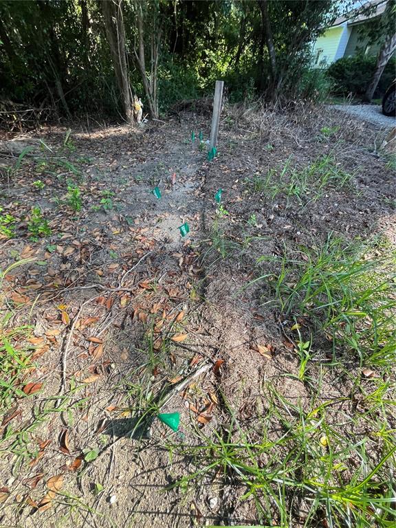 A grassy, wooded lot features several small green utility flags marking a line in the dirt — 306 NW 12TH AVE, GAINESVILLE, FL