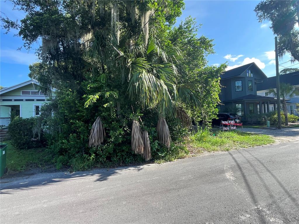 A street view shows a large palm tree and dense foliage between two residential houses — 306 NW 12TH AVE, GAINESVILLE, FL