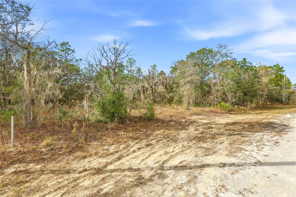 A dirt road runs alongside a wooded lot with trees draped in Spanish moss — CAYMAN ROAD, WEEKI WACHEE, FL
