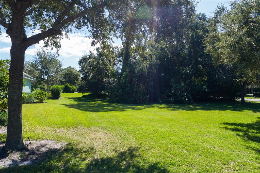 A grassy backyard features a large tree in the foreground and dense trees behind it — 2 HOLLY COURT, PALM COAST, FL