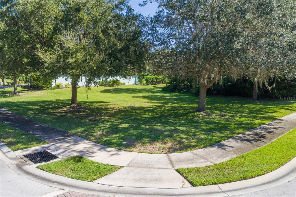 A grassy corner lot features two large trees and a concrete sidewalk — 2 HOLLY COURT, PALM COAST, FL