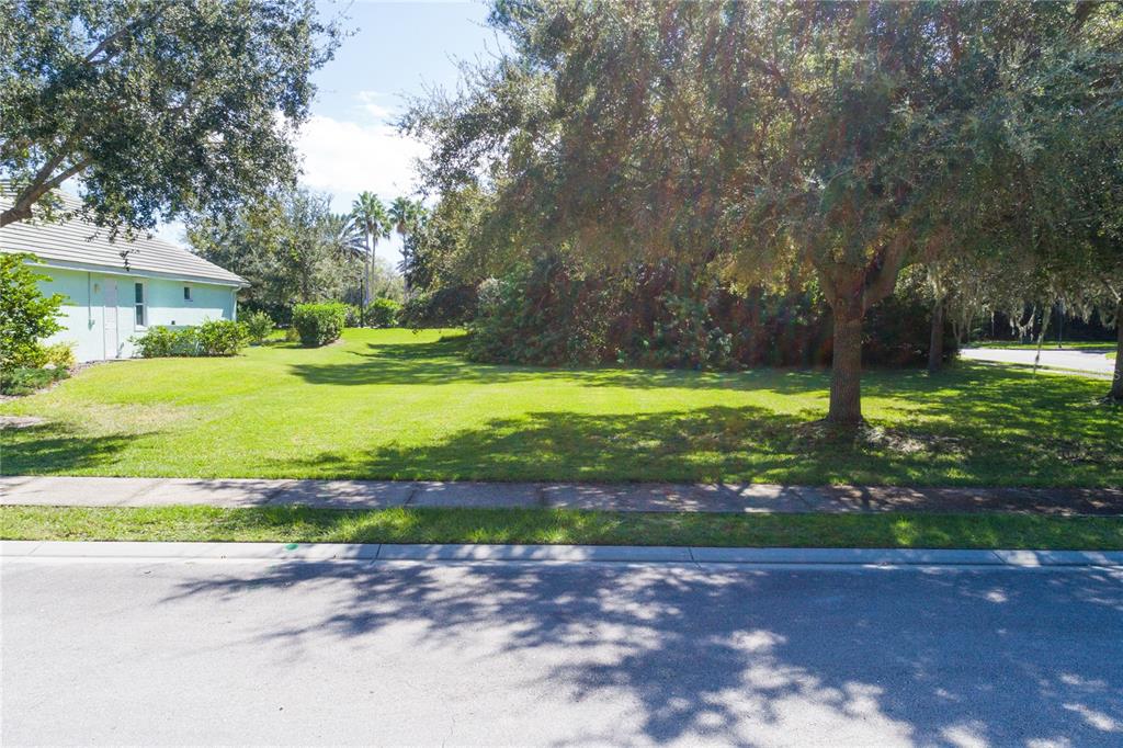 A grassy, tree-lined vacant lot sits next to a house in a suburban neighborhood — 2 HOLLY COURT, PALM COAST, FL