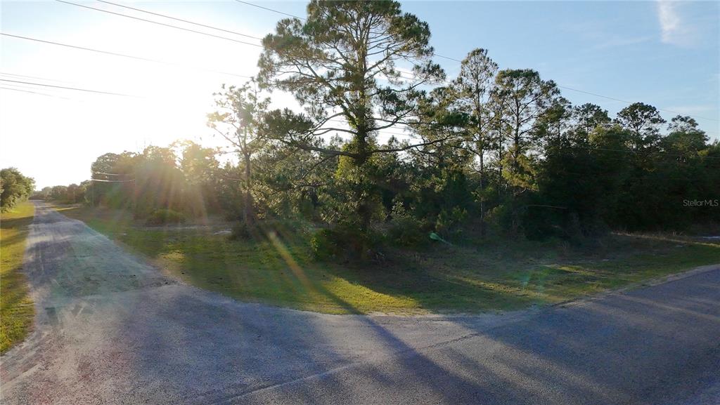 A vacant, wooded corner lot sits at the intersection of two paved roads — 1002 GARDENIA DRIVE, INDIAN LAKE ESTATES, FL