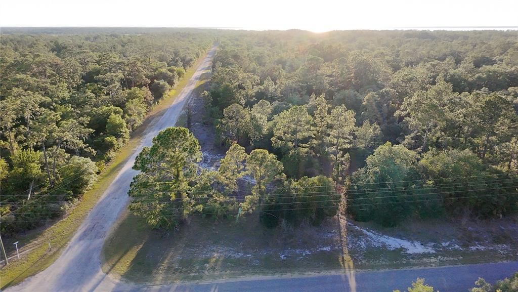 An aerial view shows a corner lot with trees and brush bordered by two roads — 1002 GARDENIA DRIVE, INDIAN LAKE ESTATES, FL
