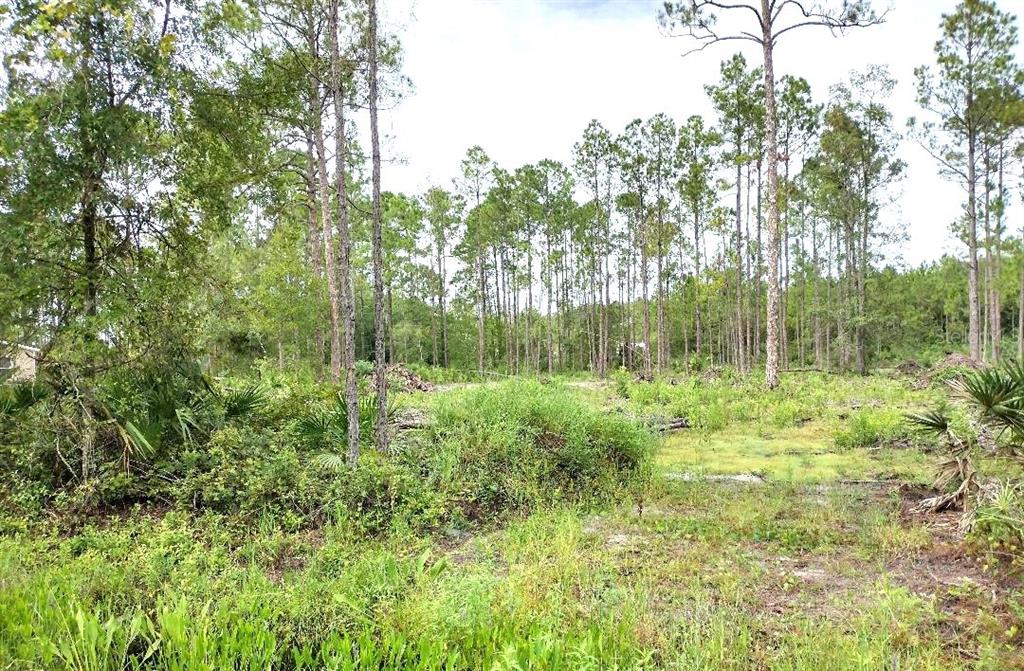 5814 MAHOGANY BOULEVARD, BUNNELL, FL — photo 3 of 9