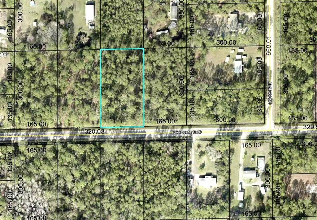 5814 MAHOGANY BOULEVARD, BUNNELL, FL — photo 4 of 9