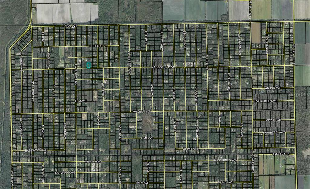 5814 MAHOGANY BOULEVARD, BUNNELL, FL — photo 5 of 9