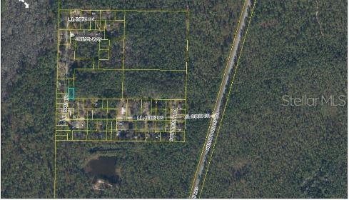 This is an aerial map showing property boundaries outlined in yellow over a wooded area — 17847 LIL DIXIE DRIVE, SANDERSON, FL