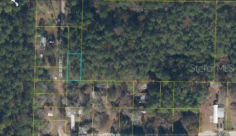 This is an aerial map showing a rectangular plot of land outlined in blue — 17847 LIL DIXIE DRIVE, SANDERSON, FL
