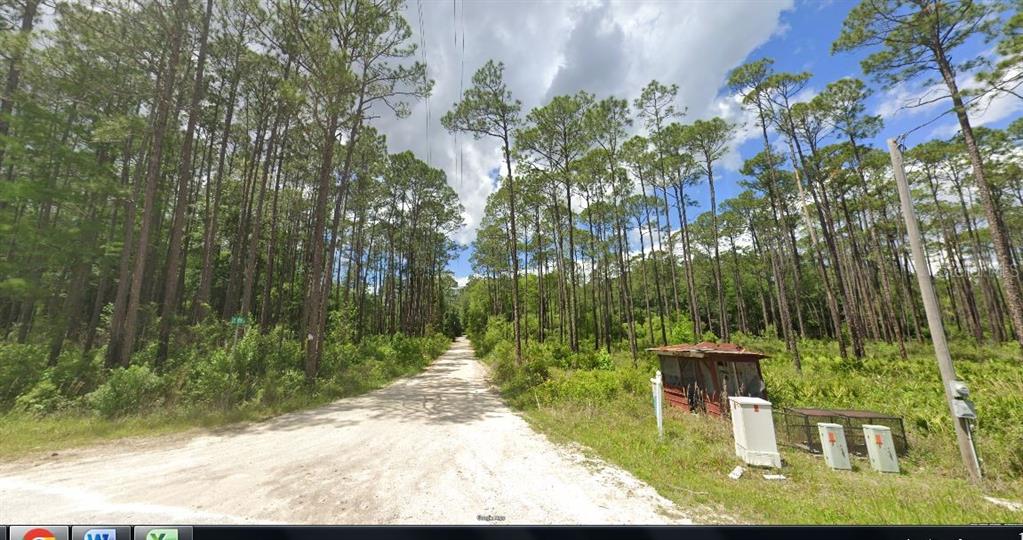 A dirt road leads into a dense pine forest with a small shed on the right — 17847 LIL DIXIE DRIVE, SANDERSON, FL
