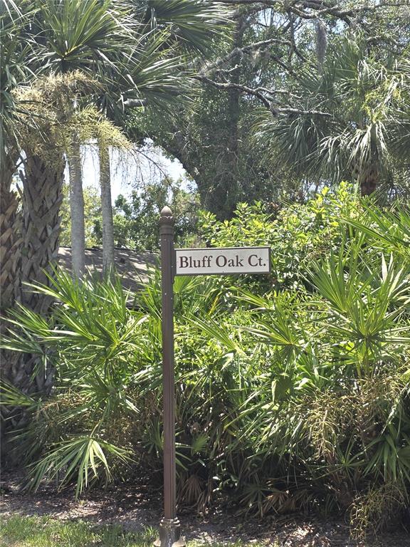 A street sign reading Bluff Oak Ct. stands in front of lush palm trees and foliage — 4045 BLUFF OAK COURT, PALM HARBOR, FL