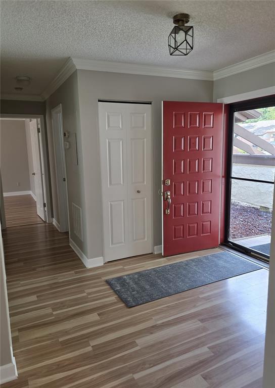 An entryway features light wood-look flooring, a red front door, and a white closet door — 4045 BLUFF OAK COURT, PALM HARBOR, FL