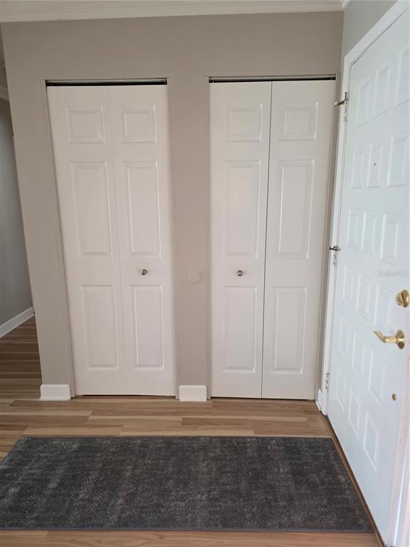 An entryway features wood-look flooring, a gray rug, and two white bi-fold closet doors — 4045 BLUFF OAK COURT, PALM HARBOR, FL