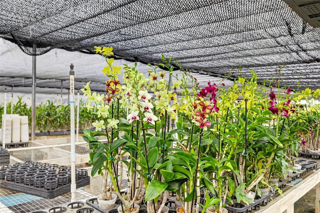 Potted orchids grow on tables inside a greenhouse with a black shade cloth roof — 2866 LENT ROAD, APOPKA, FL