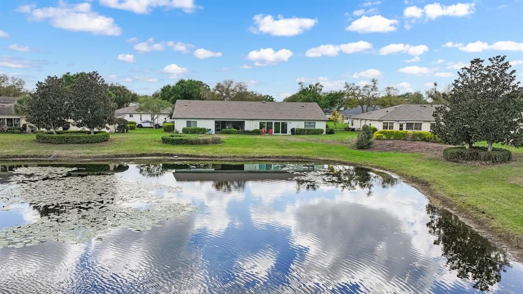 A pond sits in the foreground before a row of single-story houses with lawns — 1415 LANGLEY DRIVE, SUN CITY CENTER, FL