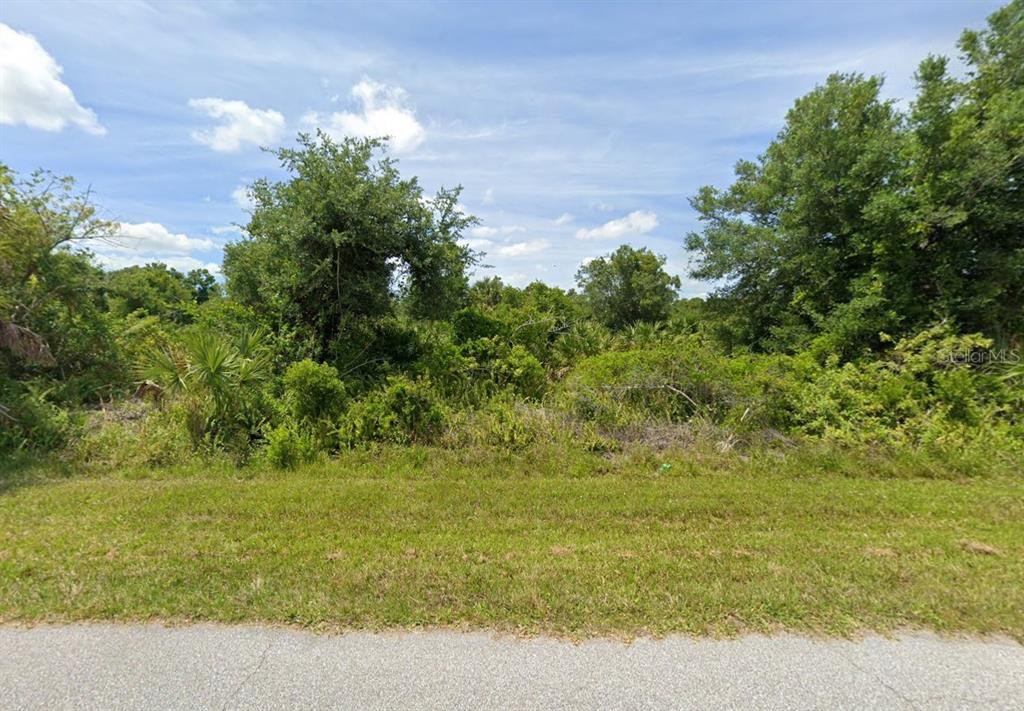 A grassy roadside leads to a dense, overgrown wooded lot under a blue sky — 3519 & 3527 DWIGHT STREET, PORT CHARLOTTE, FL