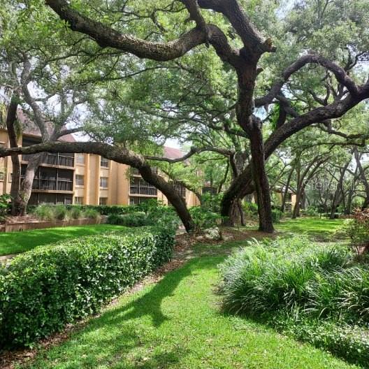 A multi-story apartment building is surrounded by large, mature oak trees and landscaped grounds — 14111 MOSSY GLEN LANE UNIT 101C, TAMPA, FL