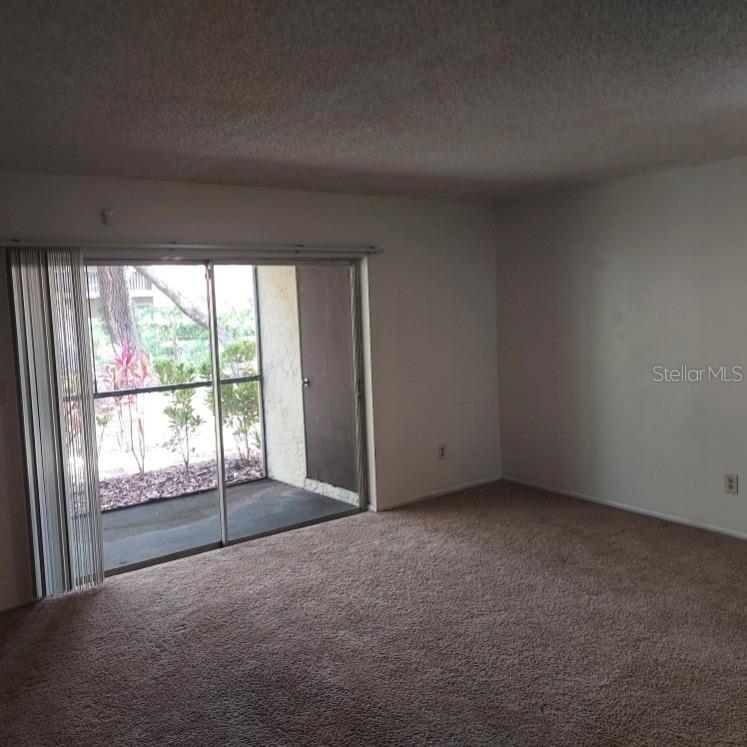 An empty room with beige carpet, white walls, and a sliding glass door to a patio — 14111 MOSSY GLEN LANE UNIT 101C, TAMPA, FL