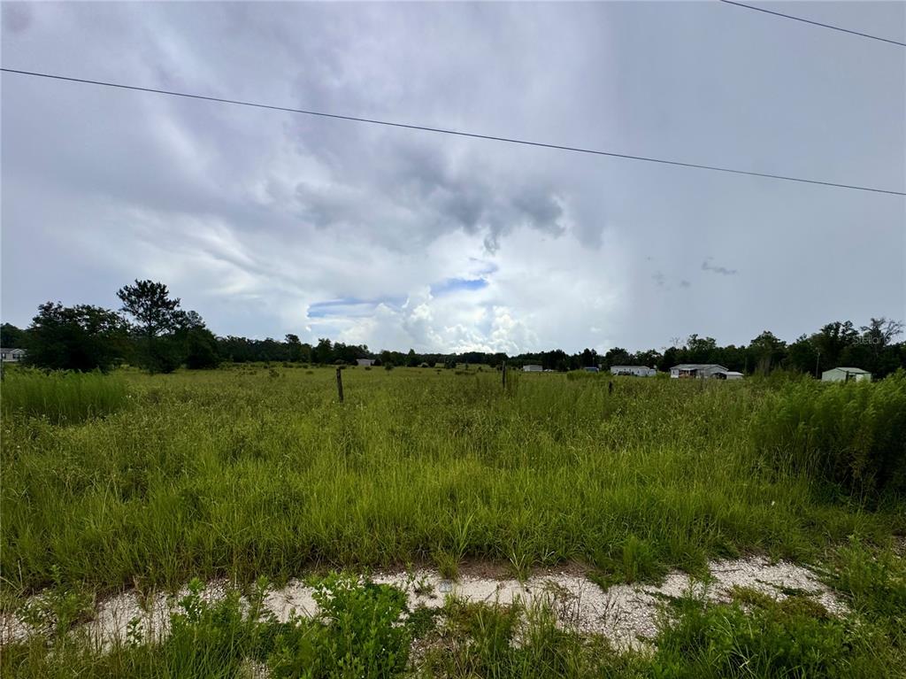 A wide, grassy field under a cloudy sky with distant houses visible in the background — NE 96 AVENUE, ARCHER, FL
