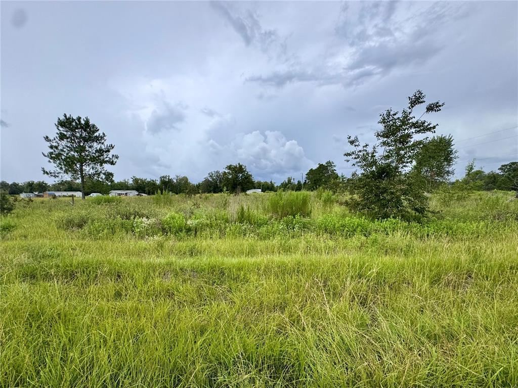 A grassy, undeveloped lot features scattered trees under a cloudy sky — NE 96 AVENUE, ARCHER, FL
