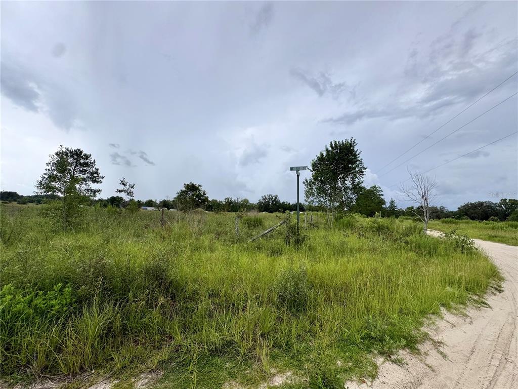 A grassy, undeveloped lot with scattered trees and a dirt road under a cloudy sky — NE 96 AVENUE, ARCHER, FL
