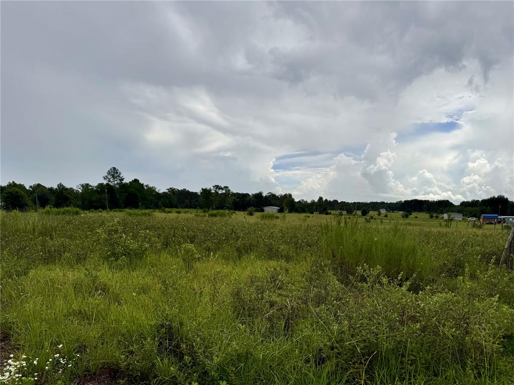 A wide, grassy field stretches toward a distant tree line under a cloudy sky — NE 96 AVENUE, ARCHER, FL