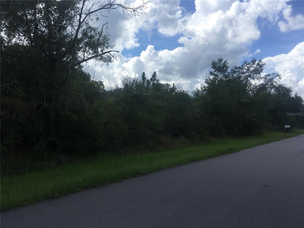 A paved road runs alongside a vacant, wooded lot under a cloudy blue sky — 237 EVERGREEN STREET, PUNTA GORDA, FL