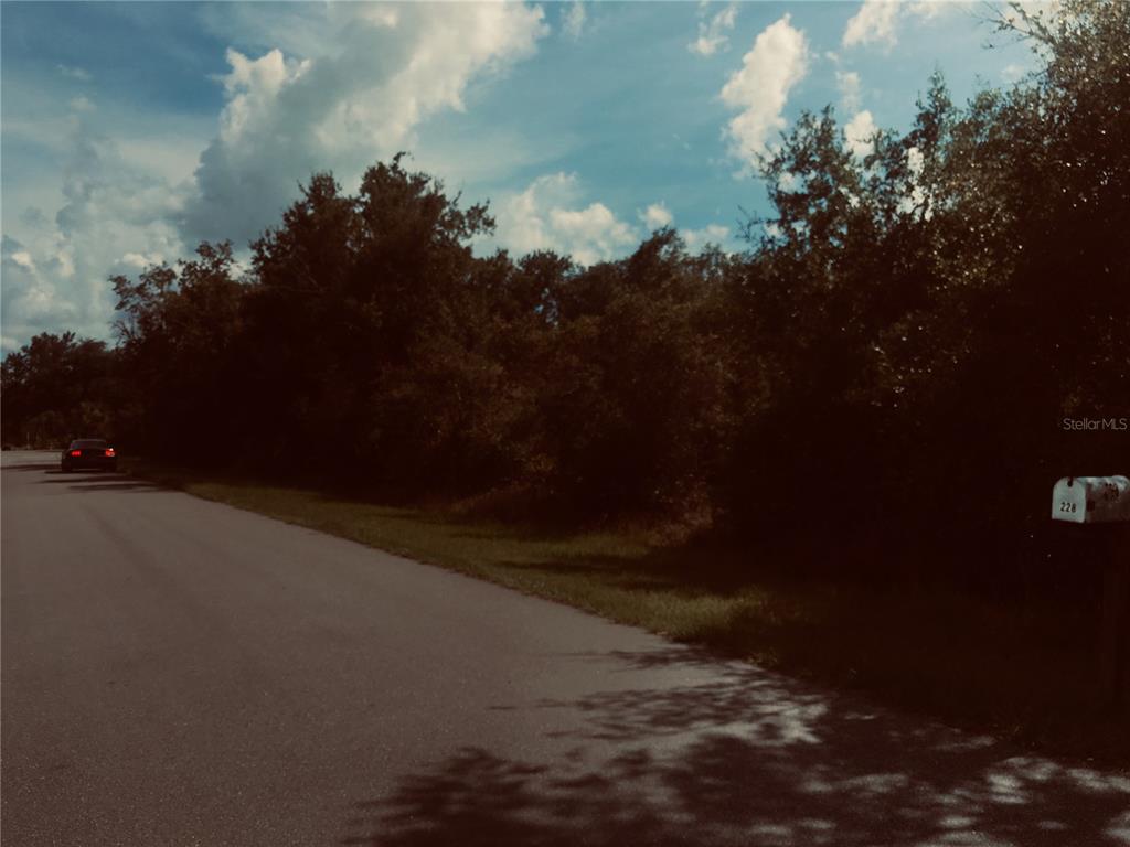 A paved road runs alongside a wooded lot with a mailbox in the foreground — 237 EVERGREEN STREET, PUNTA GORDA, FL