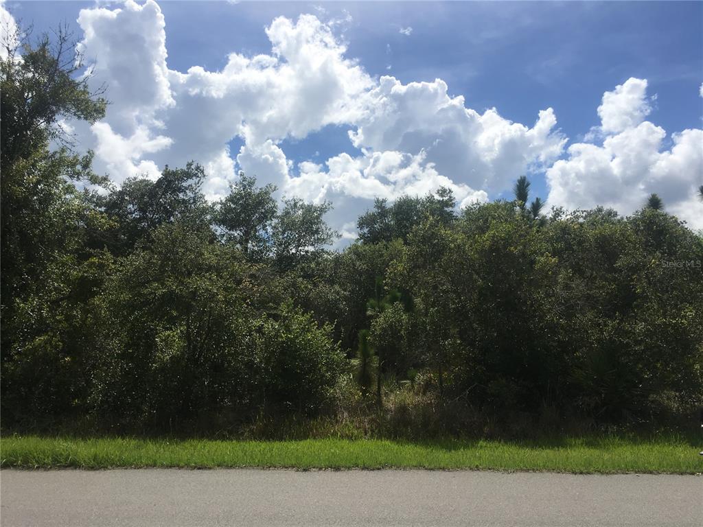 A paved road runs in front of a densely wooded, undeveloped residential lot — 237 EVERGREEN STREET, PUNTA GORDA, FL