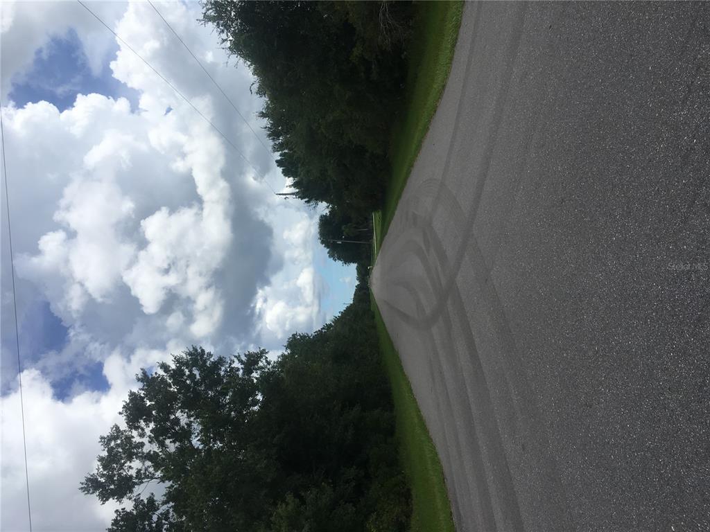 An asphalt road stretches into the distance, flanked by trees under a cloudy sky — 237 EVERGREEN STREET, PUNTA GORDA, FL