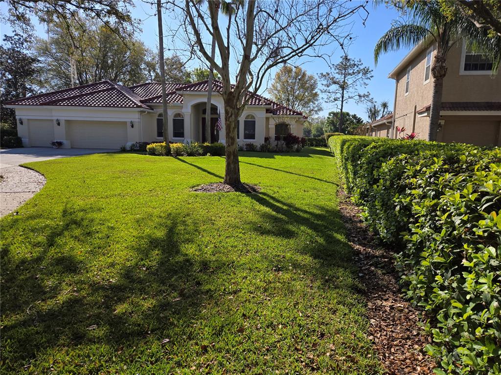 A single-story house with a tile roof and a large front lawn with a tree — 9127 WOODRIDGE RUN DRIVE, TAMPA, FL