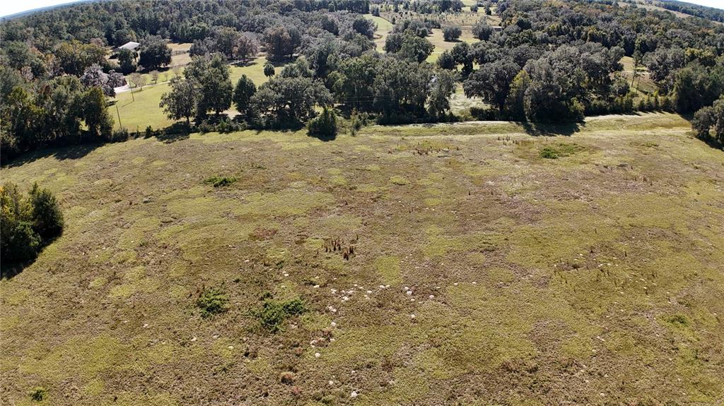 An aerial view shows a large, grassy field bordered by a dense line of trees — NW 54TH LOOP LOT 7, OCALA, FL