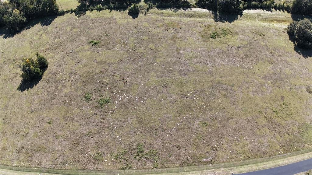 An aerial view shows a large, grassy, undeveloped plot of land bordered by trees — NW 54TH LOOP LOT 7, OCALA, FL