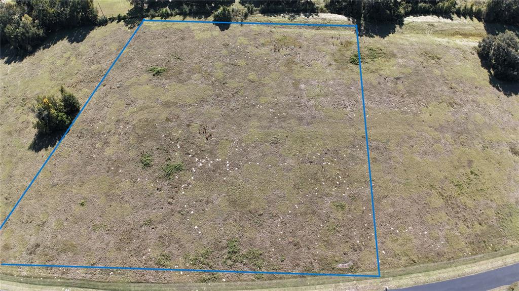 An aerial view shows a rectangular, grassy plot of land bordered by trees and a road — NW 54TH LOOP LOT 7, OCALA, FL